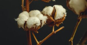Cotton Fabric – Comfortable & Breathable